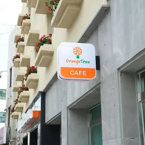 Orange Tree 済州市